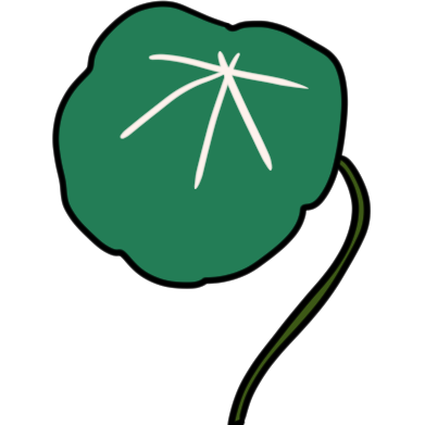 a peltate leaf.